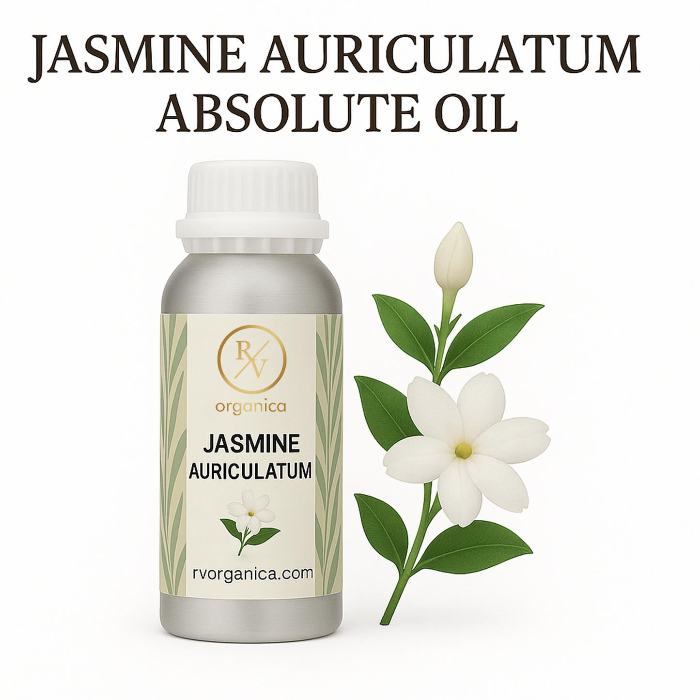 Jasmine Auriculatum Absolute Oil