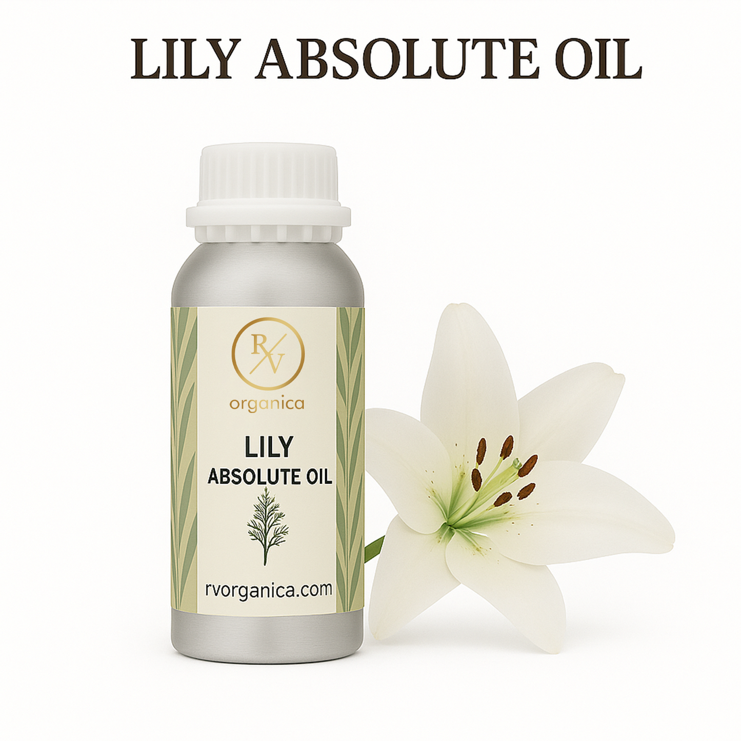 Lily Absolute Oil