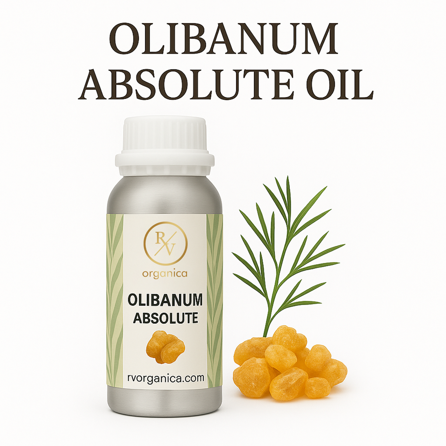Olibanum Absolute Oil