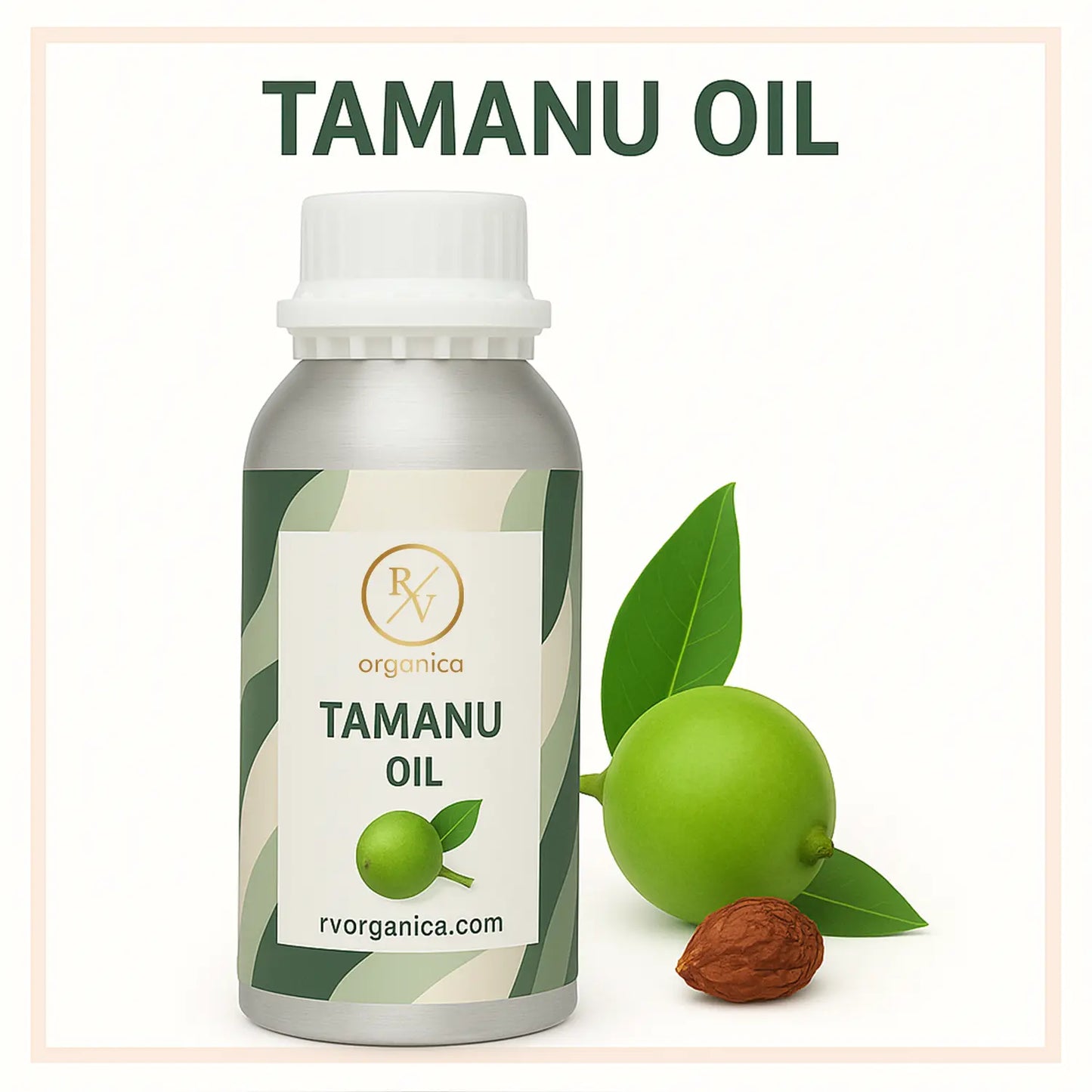A bottle of Tamanu Oil with a green and white label, next to a fresh Tamanu fruit and an nut. The name of the oil is written across the top in bold, white lettering.