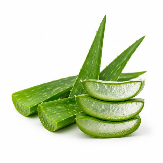 Aloe Vera Fragrance Oil with a fresh green and soothing aroma, offering a clean, refreshing, and long-lasting scent ideal for candles, soaps, perfumes, and personal care products. - second image