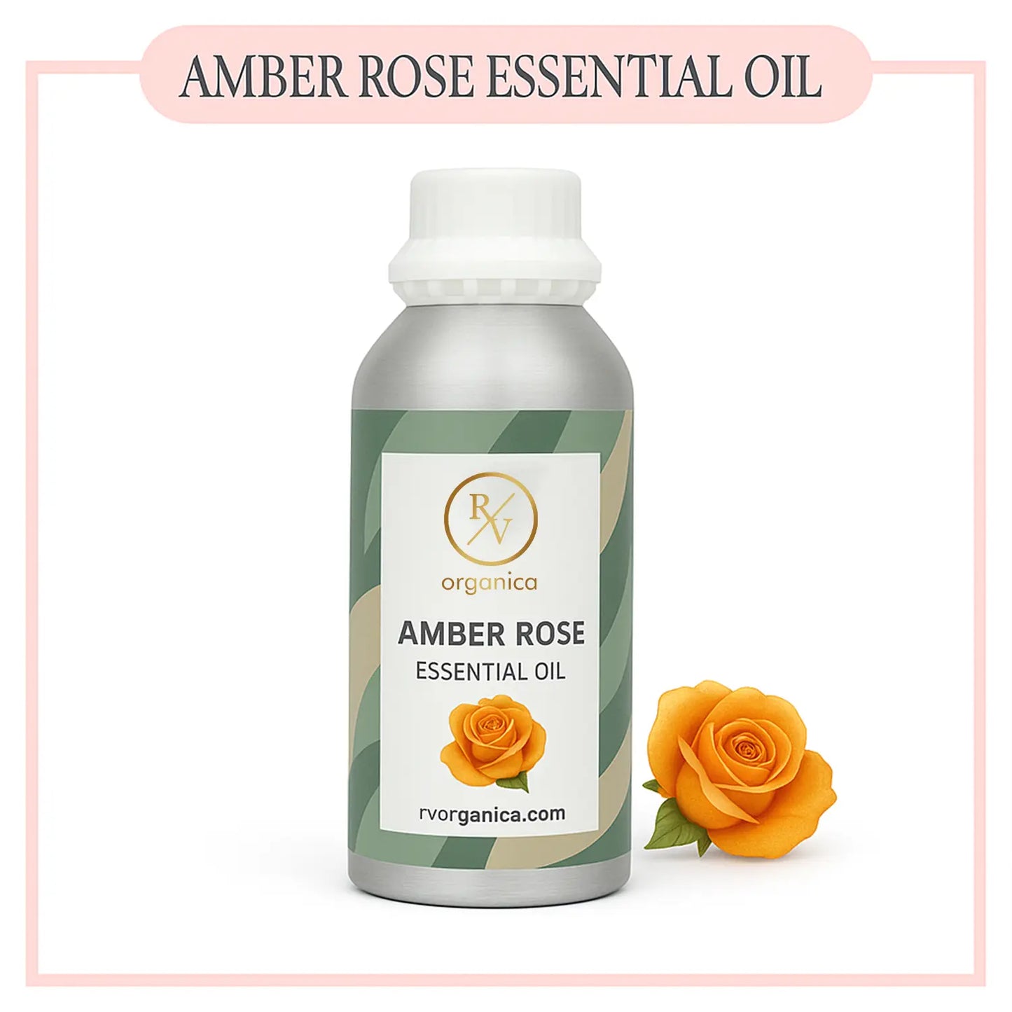 Pure Amber Rose Essential Oil for aromatherapy and skincare –RV Organica