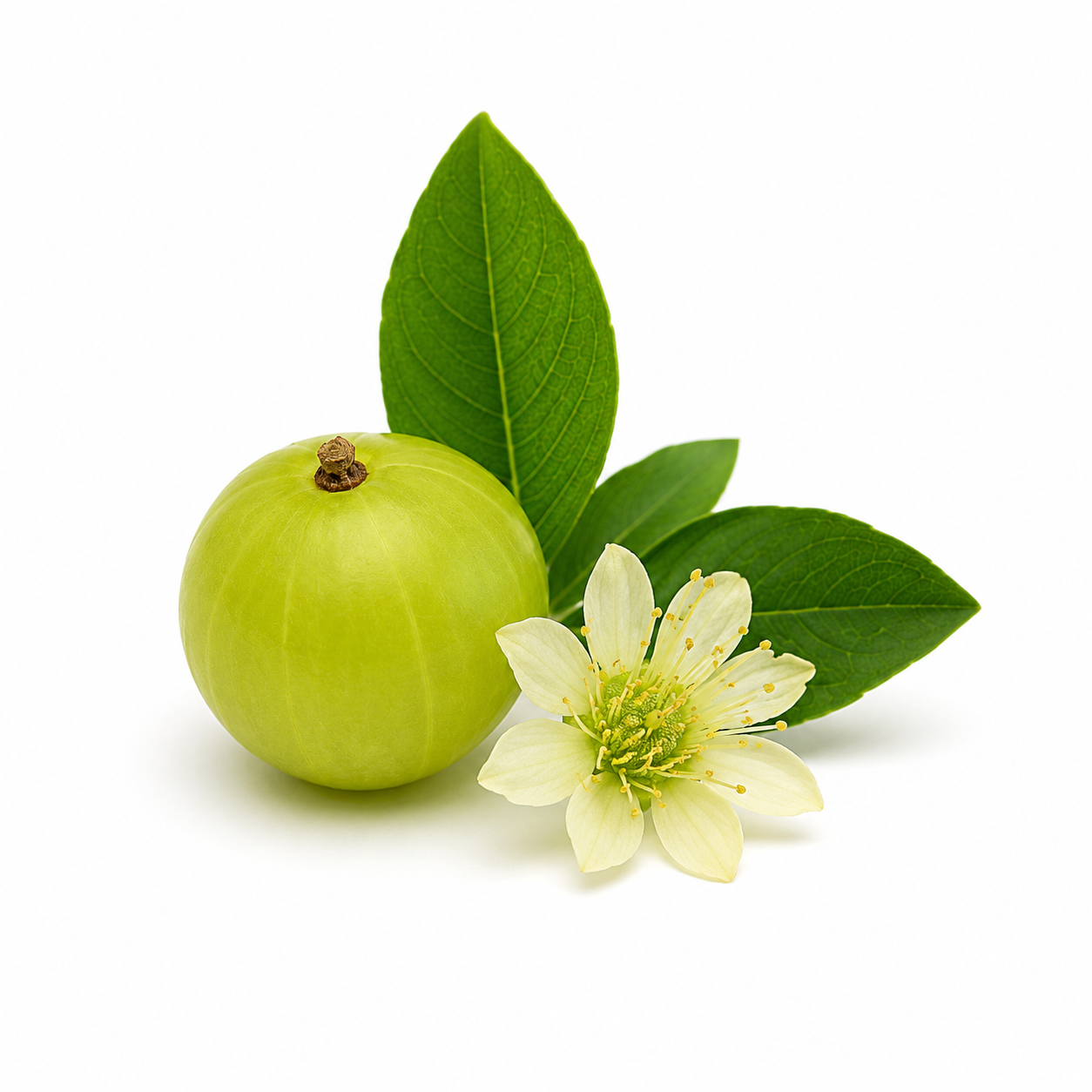 Amla & Bhringraj Fragrance Oil with a fresh herbal and botanical aroma, blending traditional Ayurvedic-inspired notes for a clean, natural, and long-lasting scent ideal for candles, soaps, perfumes, and personal care products.