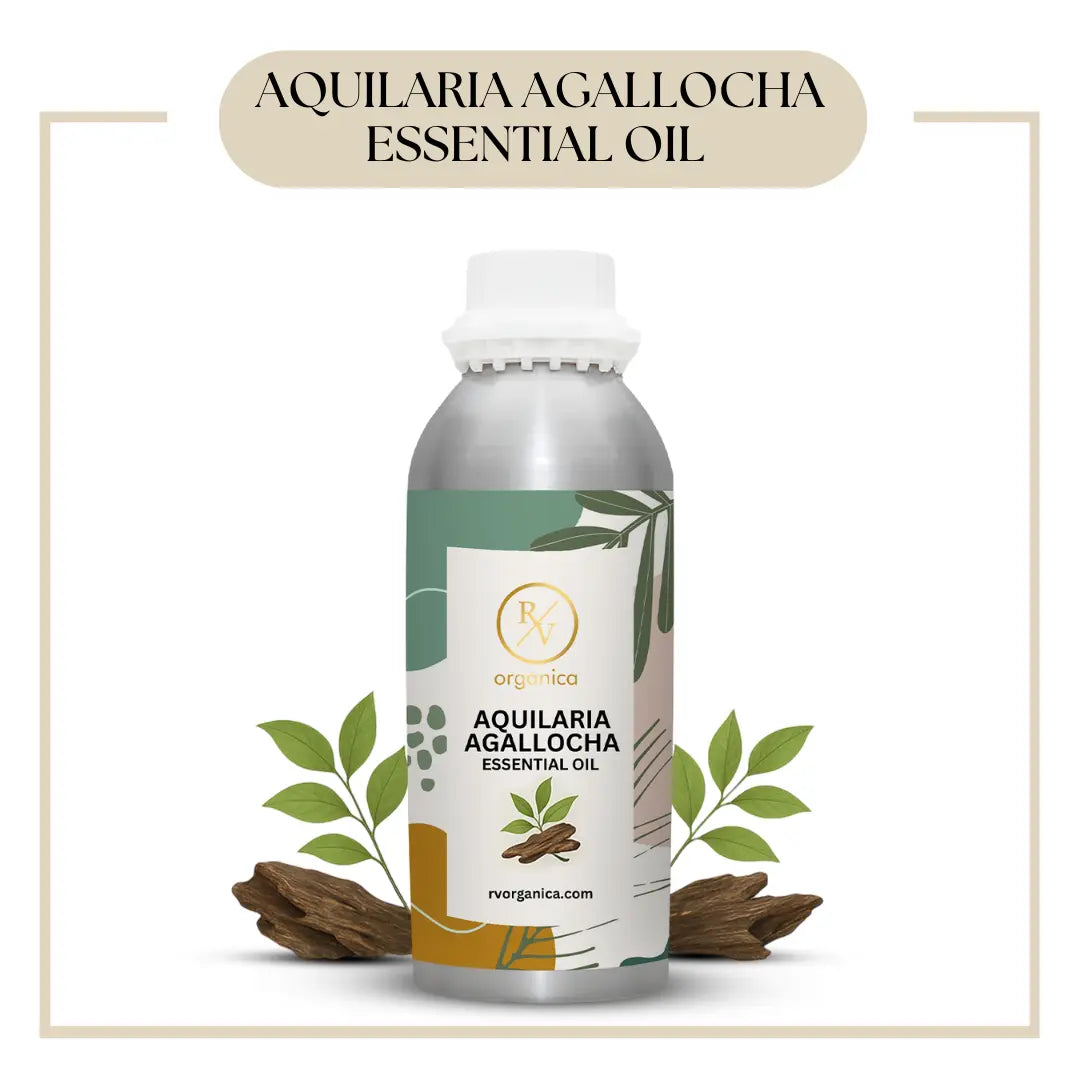 Pure Aquilaria Agallocha Essential Oil for aromatherapy and skincare –RV Organica