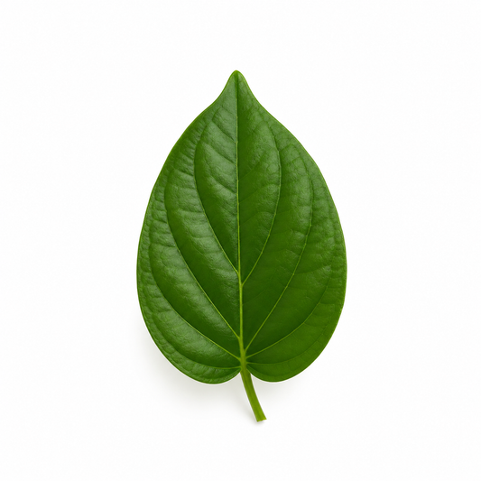 Fresh betel leaf isolated on a clean white background, glossy green botanical ingredient commonly used in herbal skincare, hair care, and essential oil products. - second image