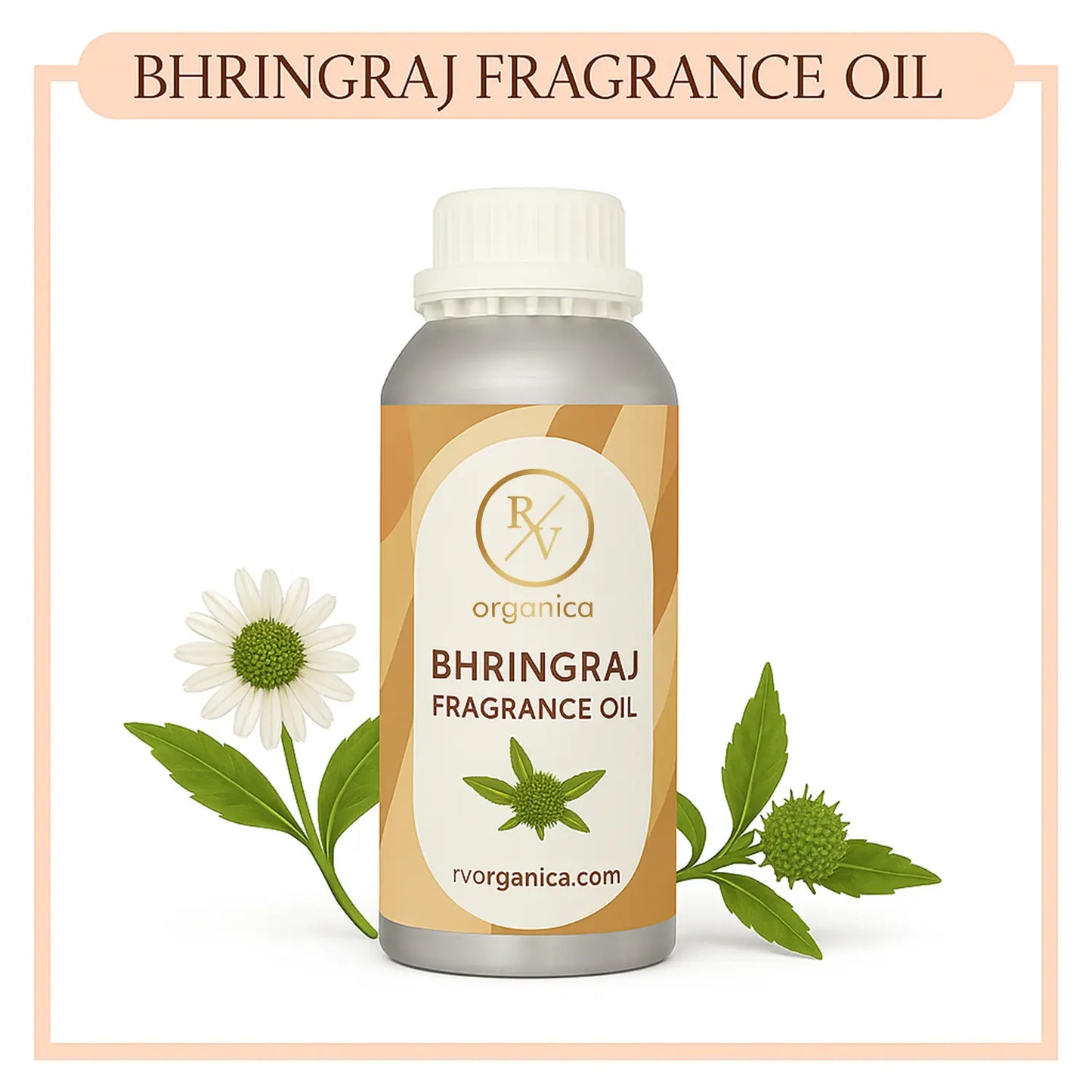 Pure Bhringraj Fragrance Oil – RV Organica