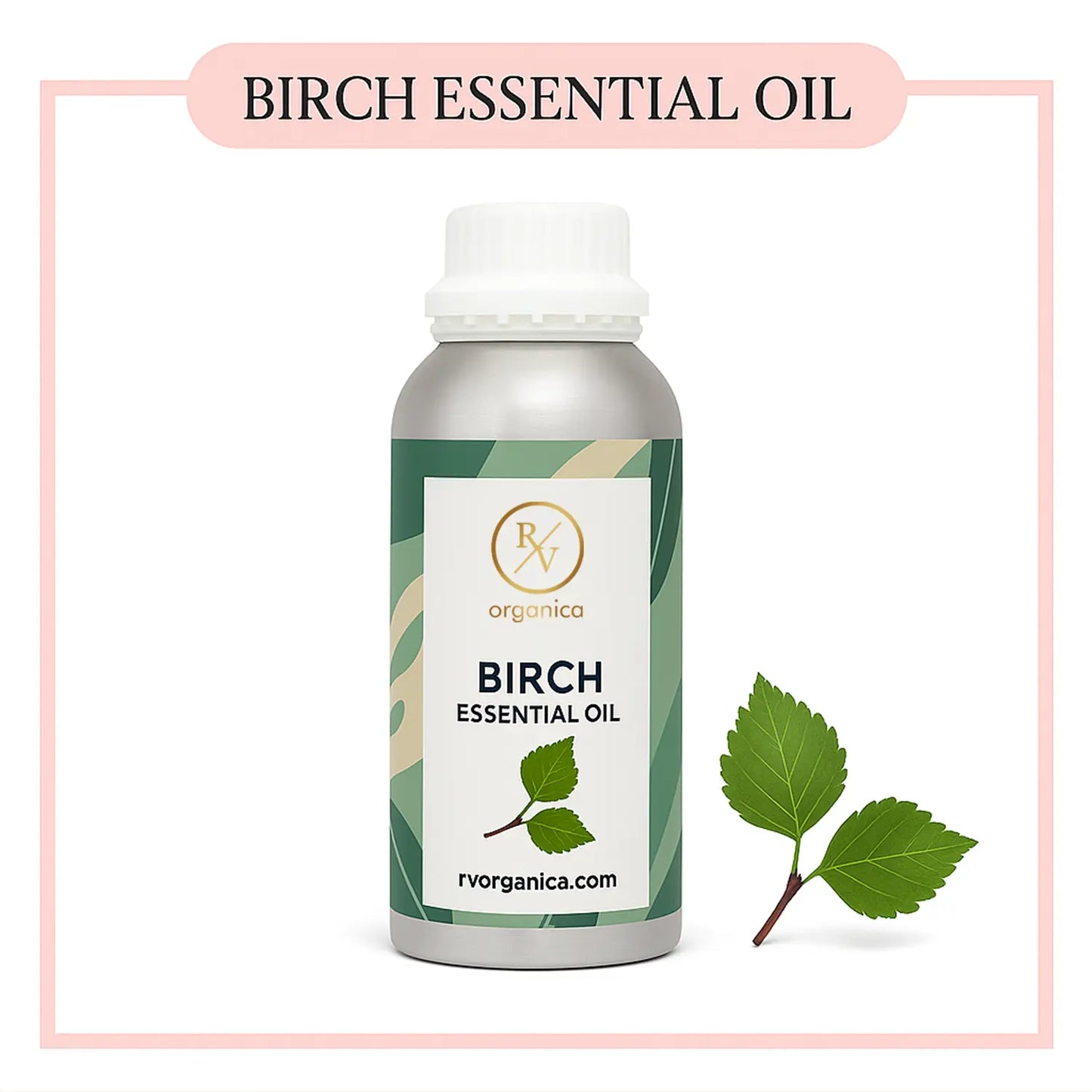 Pure Birch Essential Oil for aromatherapy and skincare –RV Organica