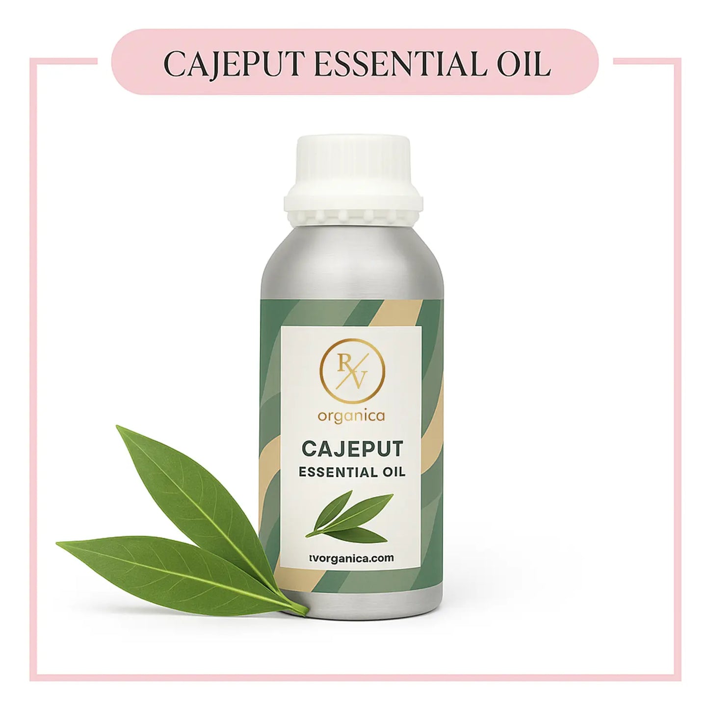 Pure Cajeput Essential Oil for aromatherapy and skincare –RV Organica