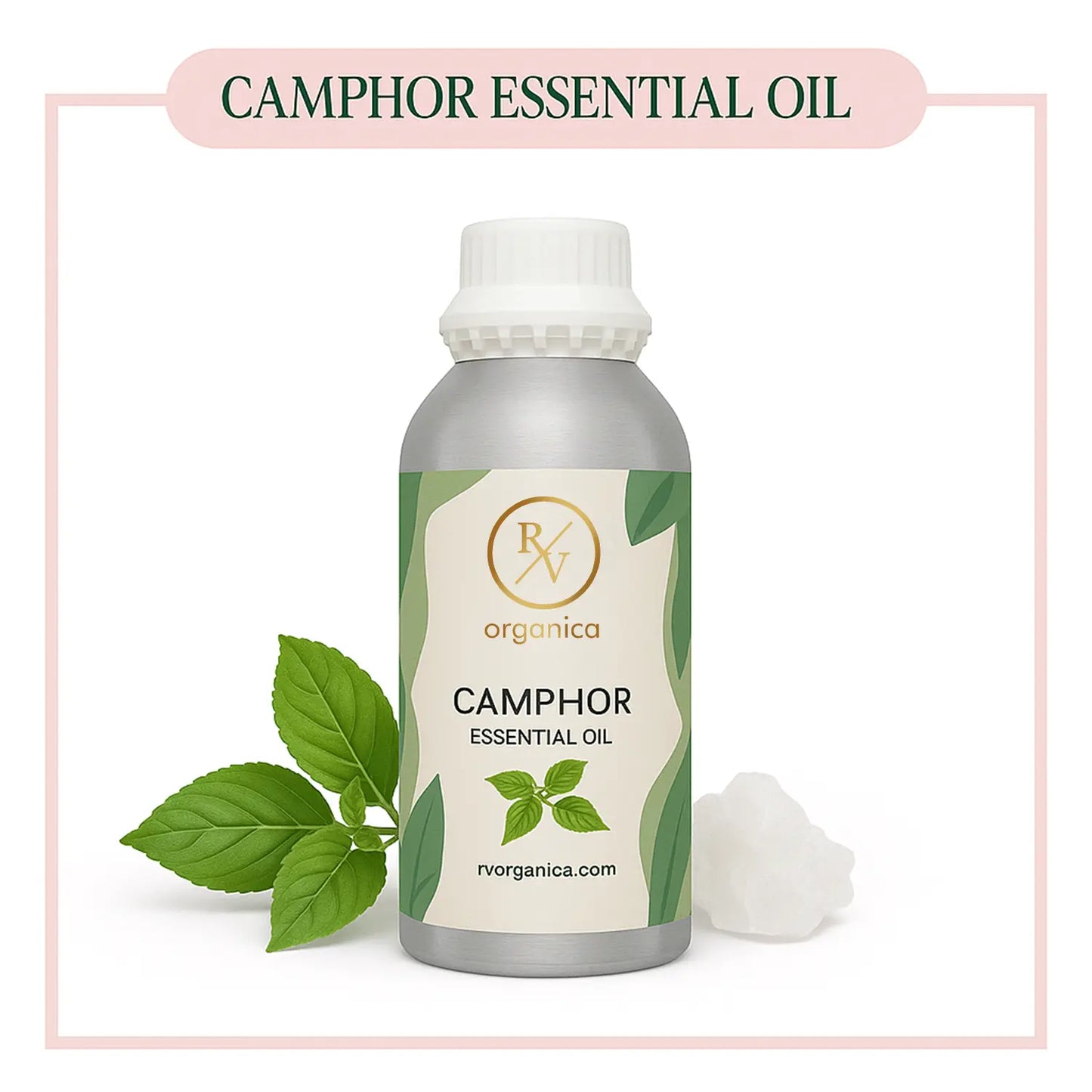 Pure Camphor Essential Oil for aromatherapy and skincare –RV Organica
