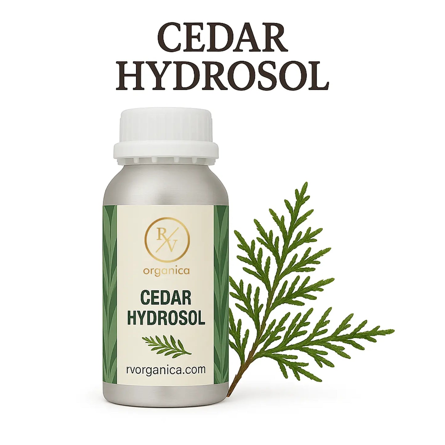 A bottle of Cedar Hydrosol with a sprig of cedar needles in the foreground, against a white background, with the brand RV Organica displayed.