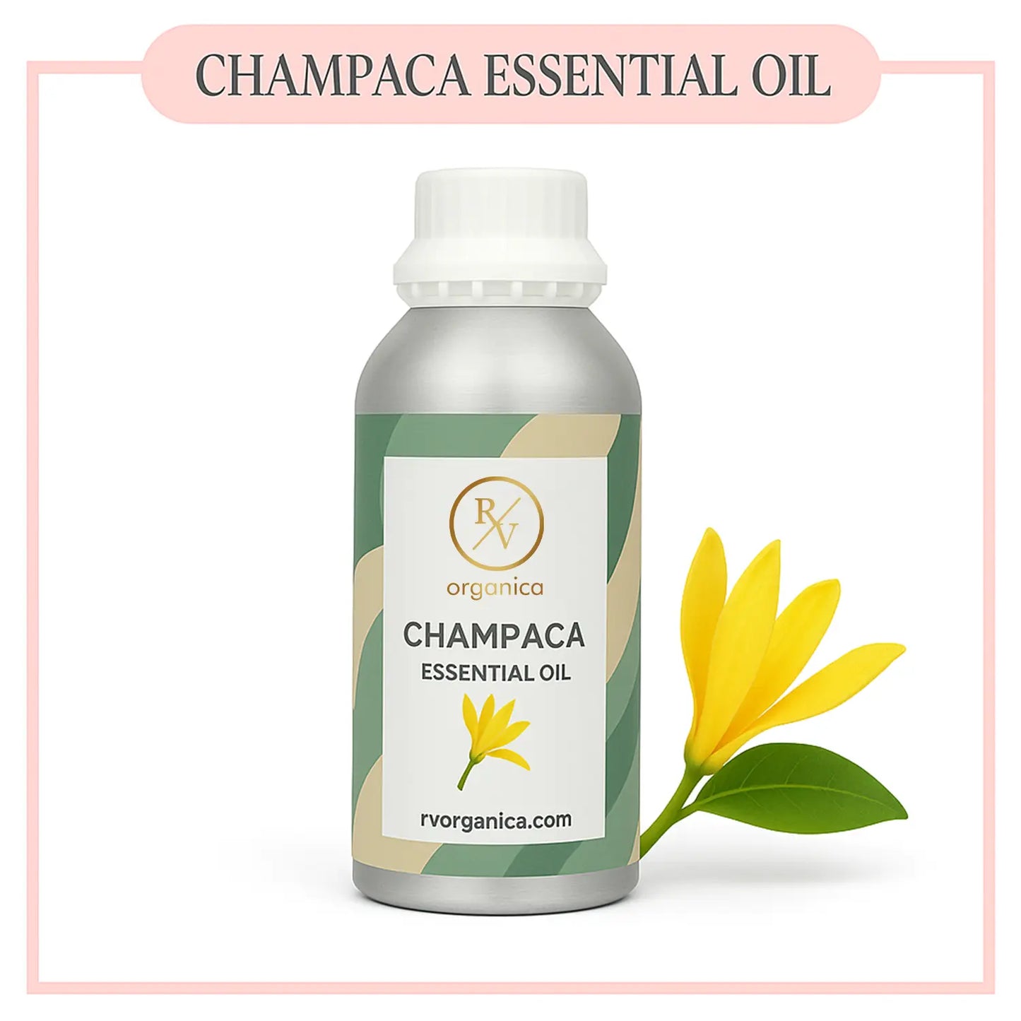 Pure Champaca Essential Oil for aromatherapy and skincare –RV Organica