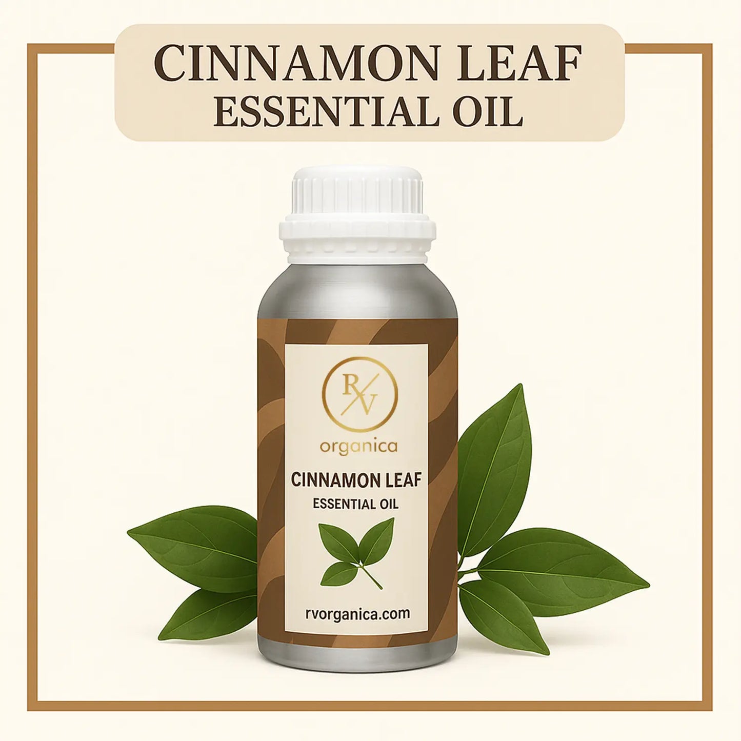 Pure Cinnamon Leaf Essential Oil for aromatherapy and skincare –RV Organica