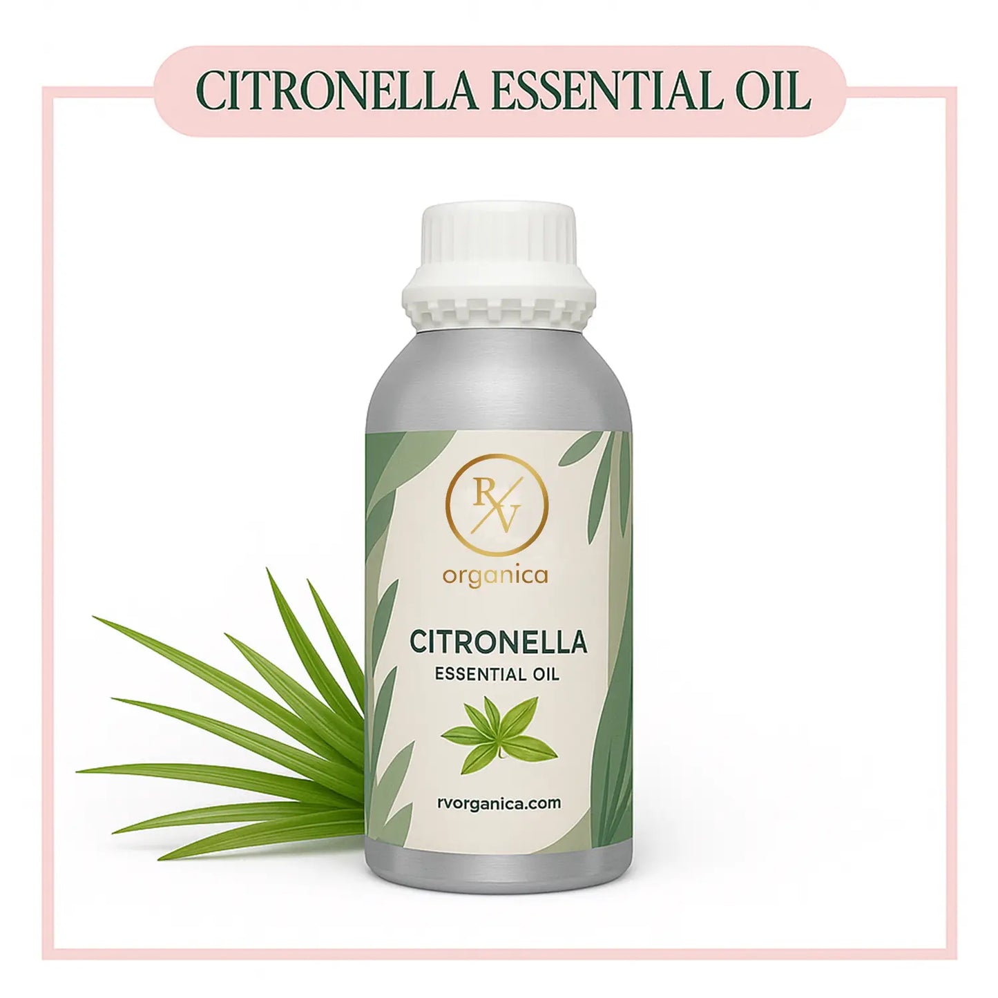 Pure Citronella Essential Oil for aromatherapy and skincare –RV Organica