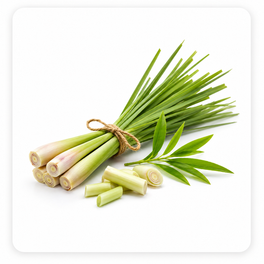 Citronella Fragrance Oil with a fresh citrus and herbal aroma, inspired by natural citronella leaves for a clean, uplifting, and long-lasting scent ideal for candles, soaps, perfumes, and personal care products. - second image