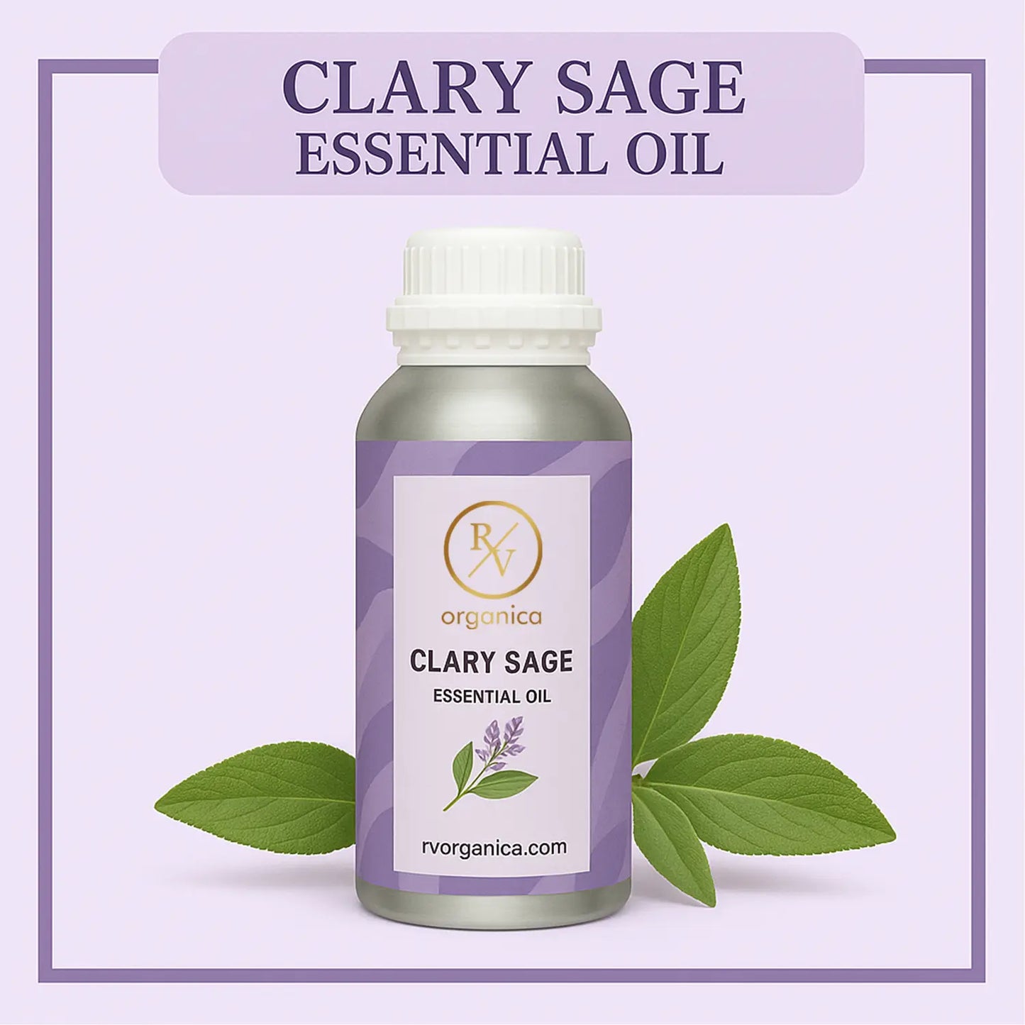 Pure Clary Sage Essential Oil for aromatherapy and skincare –RV Organica
