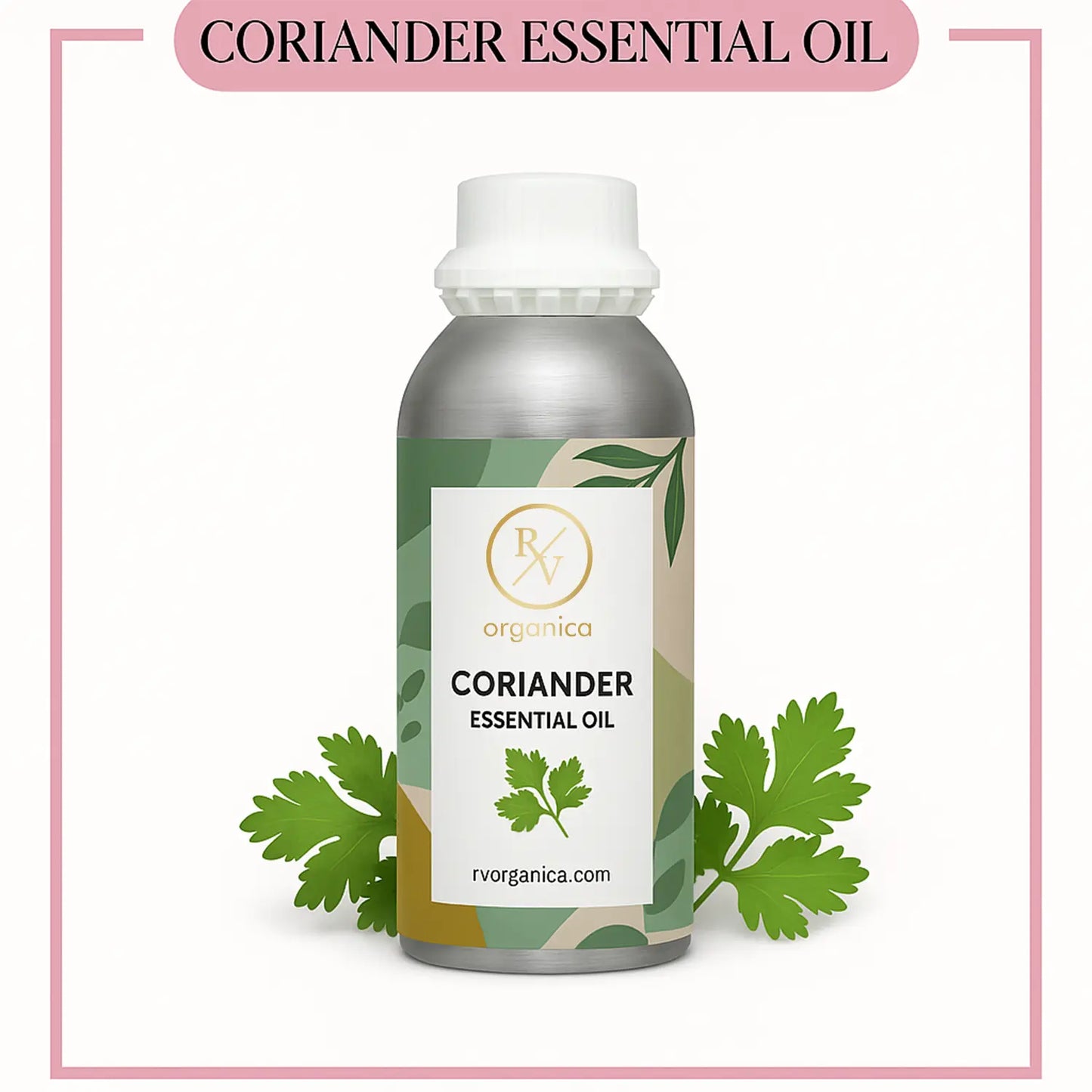 Pure Coriander Essential Oil for aromatherapy and skincare –RV Organica
