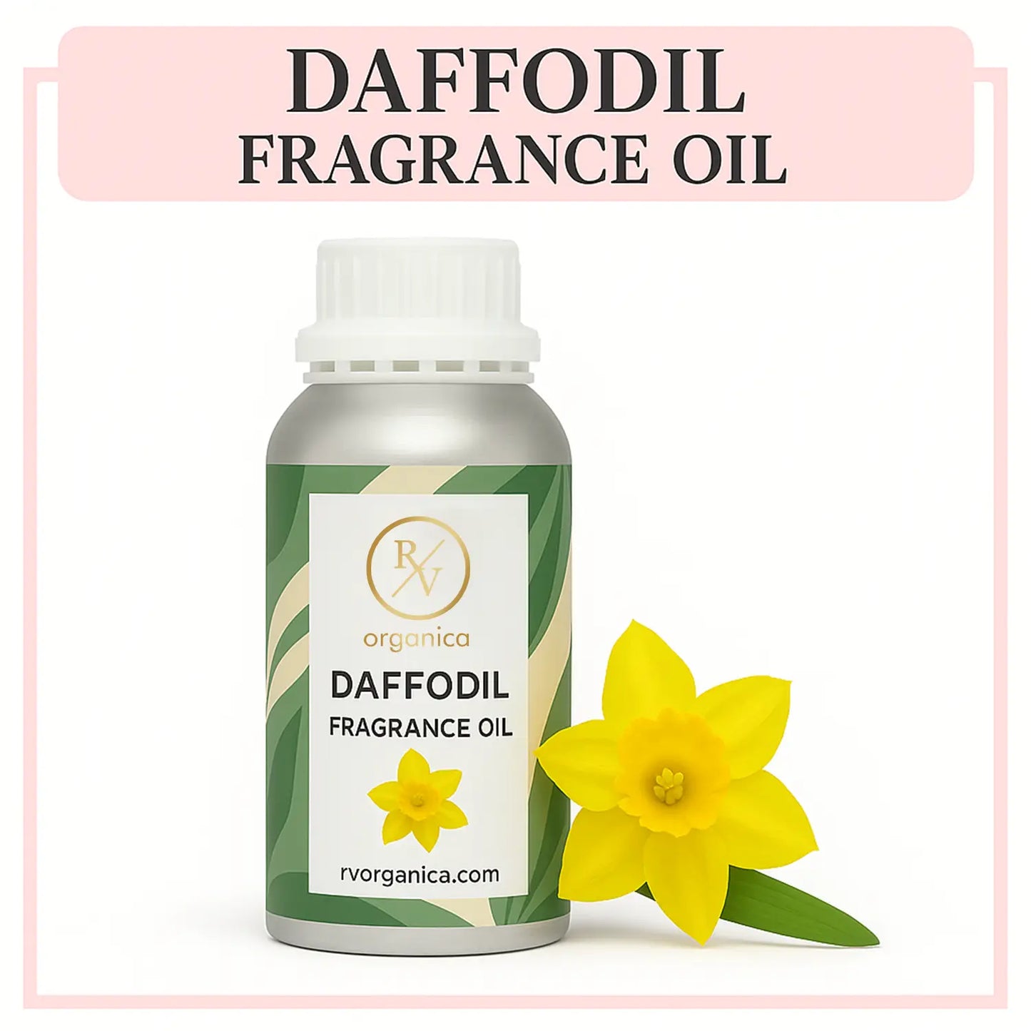 Pure Daffodil Fragrance Oil – RV Organica