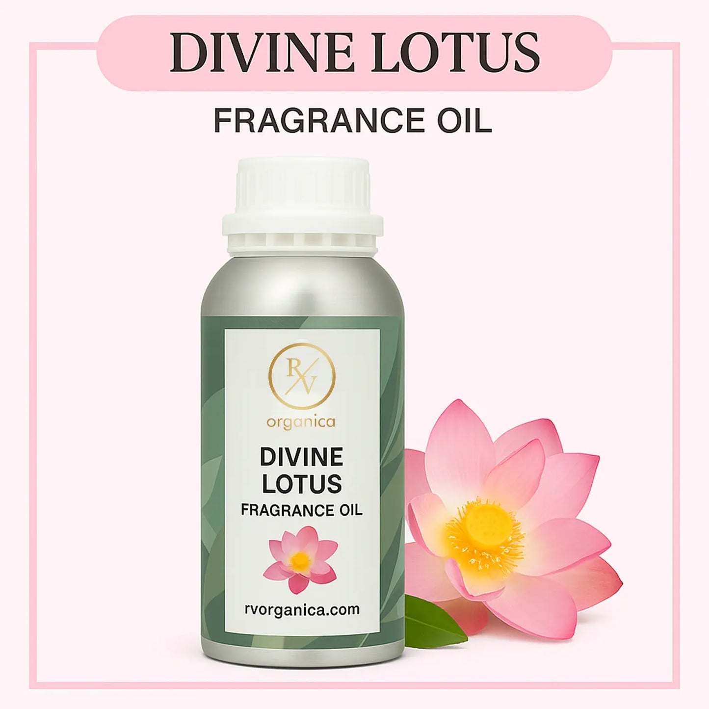 Pure Divine lotus Fragrance Oil – RV Organica