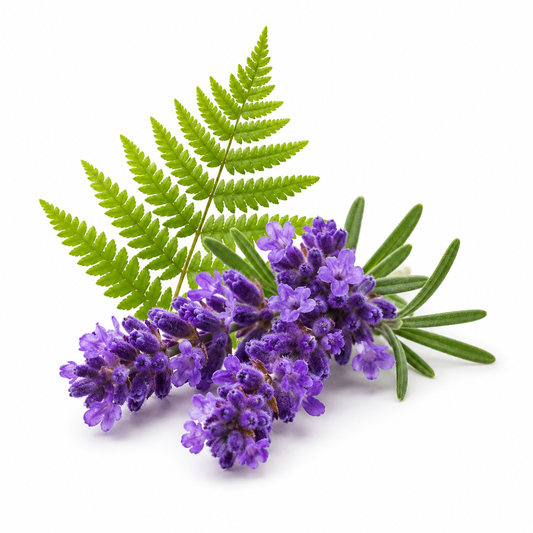 Drakkaris fragrance oil with bold masculine aromatic scent, ideal for soaps, candles, perfumes, and skincare products - second image