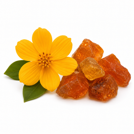 Egyptian Amber Fragrance Oil with a warm resinous and luxurious aroma, offering rich amber notes and a long-lasting scent ideal for perfumes, candles, soaps, and home fragrance products. - second image