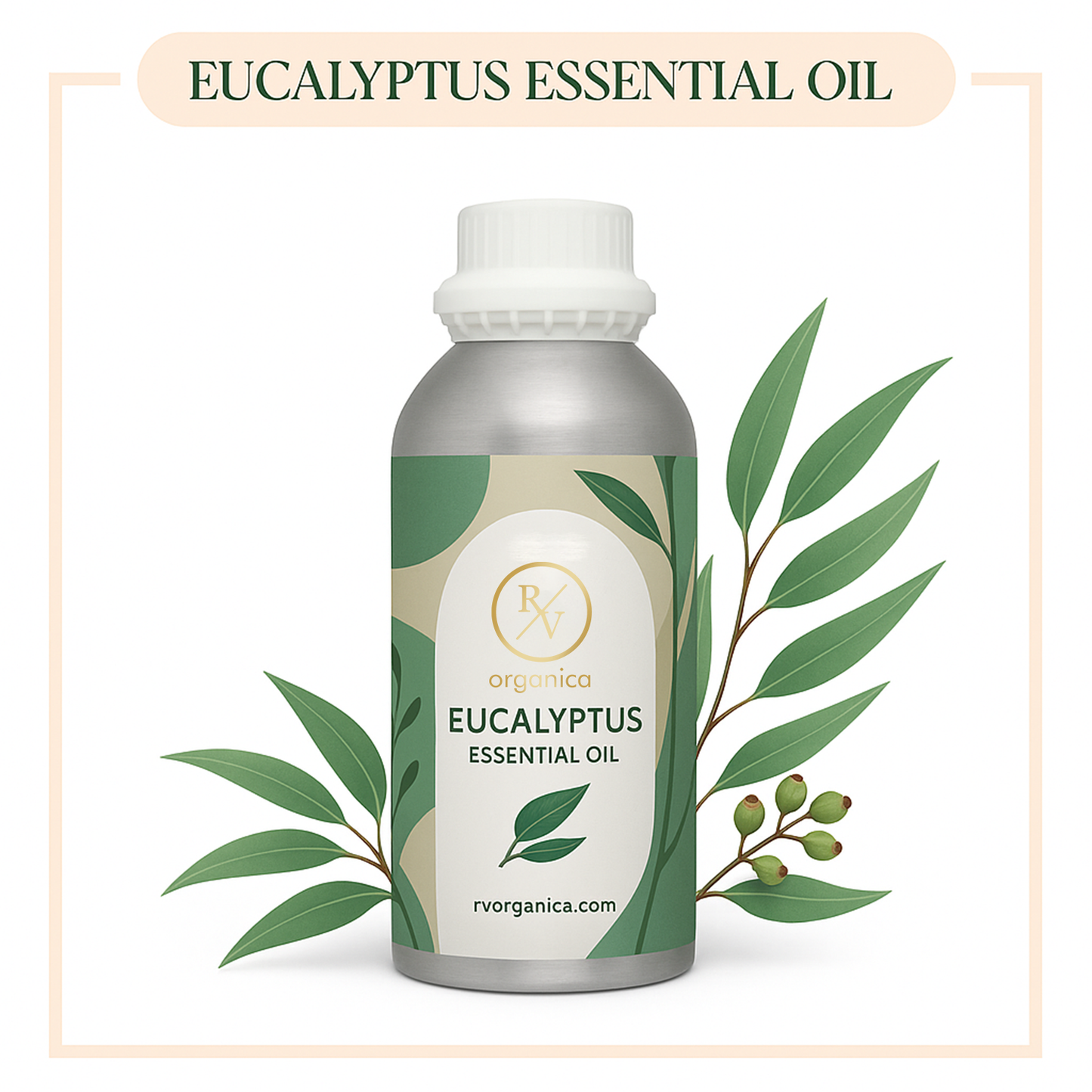 Pure Eucalyptus Essential Oil for aromatherapy and skincare –RV Organica
