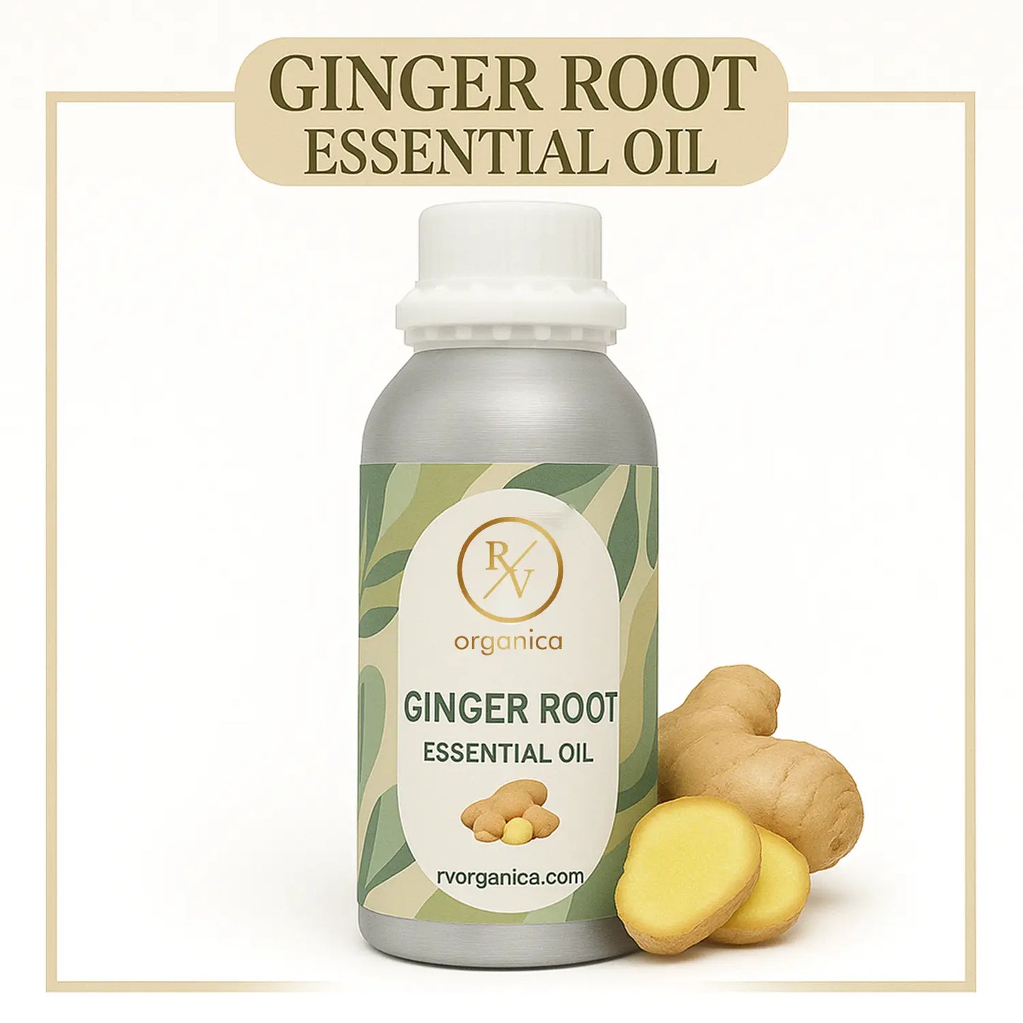 Pure Ginger Root Essential Oil for aromatherapy and skincare –RV Organica