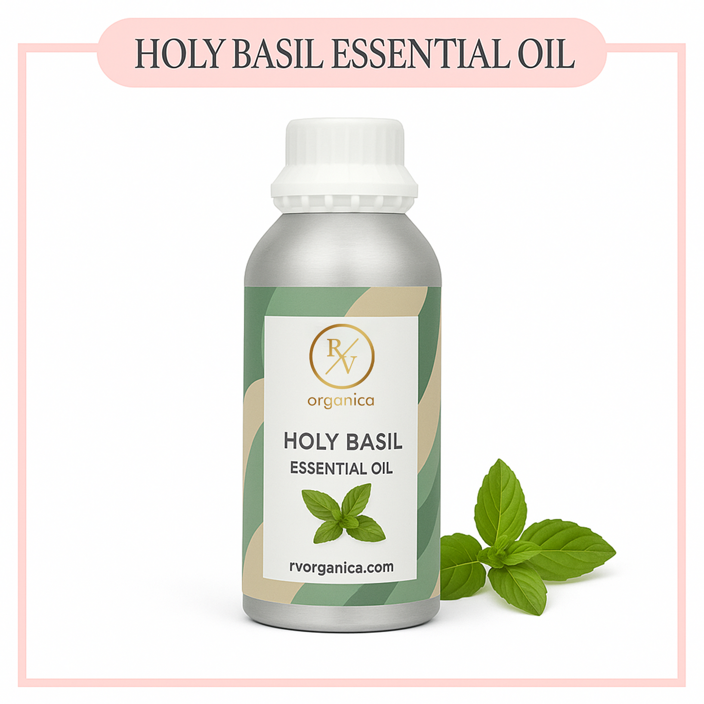 Pure Holy Basil Essential Oil for aromatherapy and skincare –RV Organica