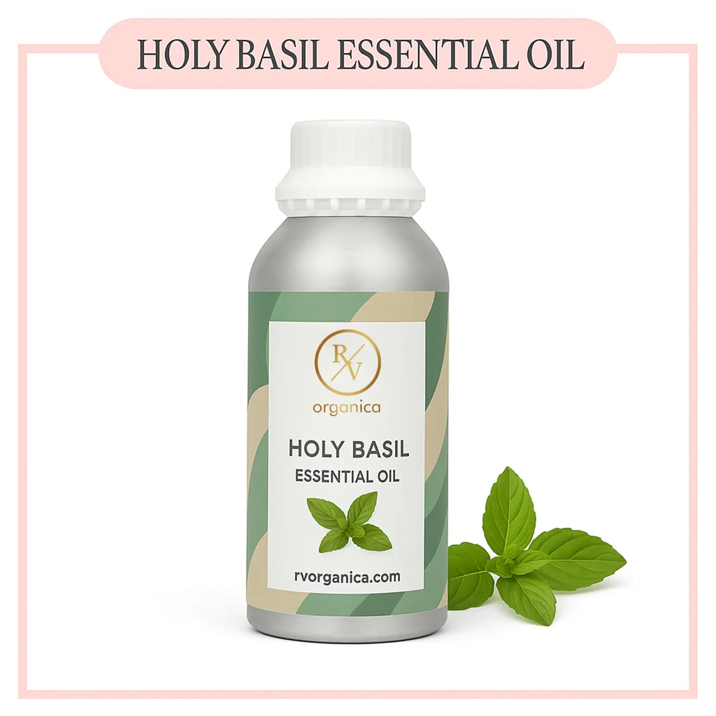 Pure Holy Basil Essential Oil for aromatherapy and skincare –RV Organica