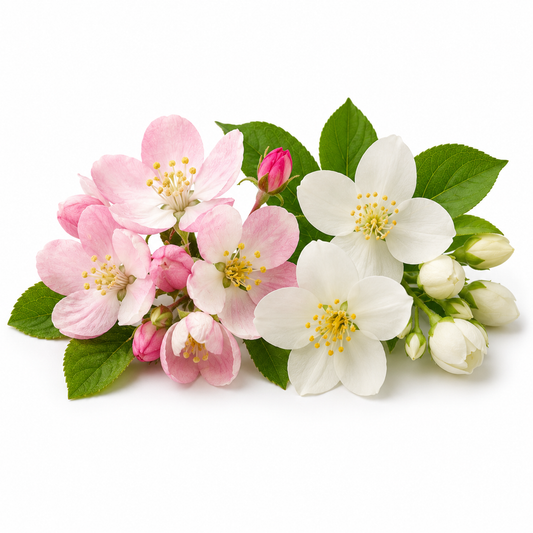 Morning Bloom Fragrance Oil featuring a fresh floral scent ideal for soaps, candles, and personal care products. - second image