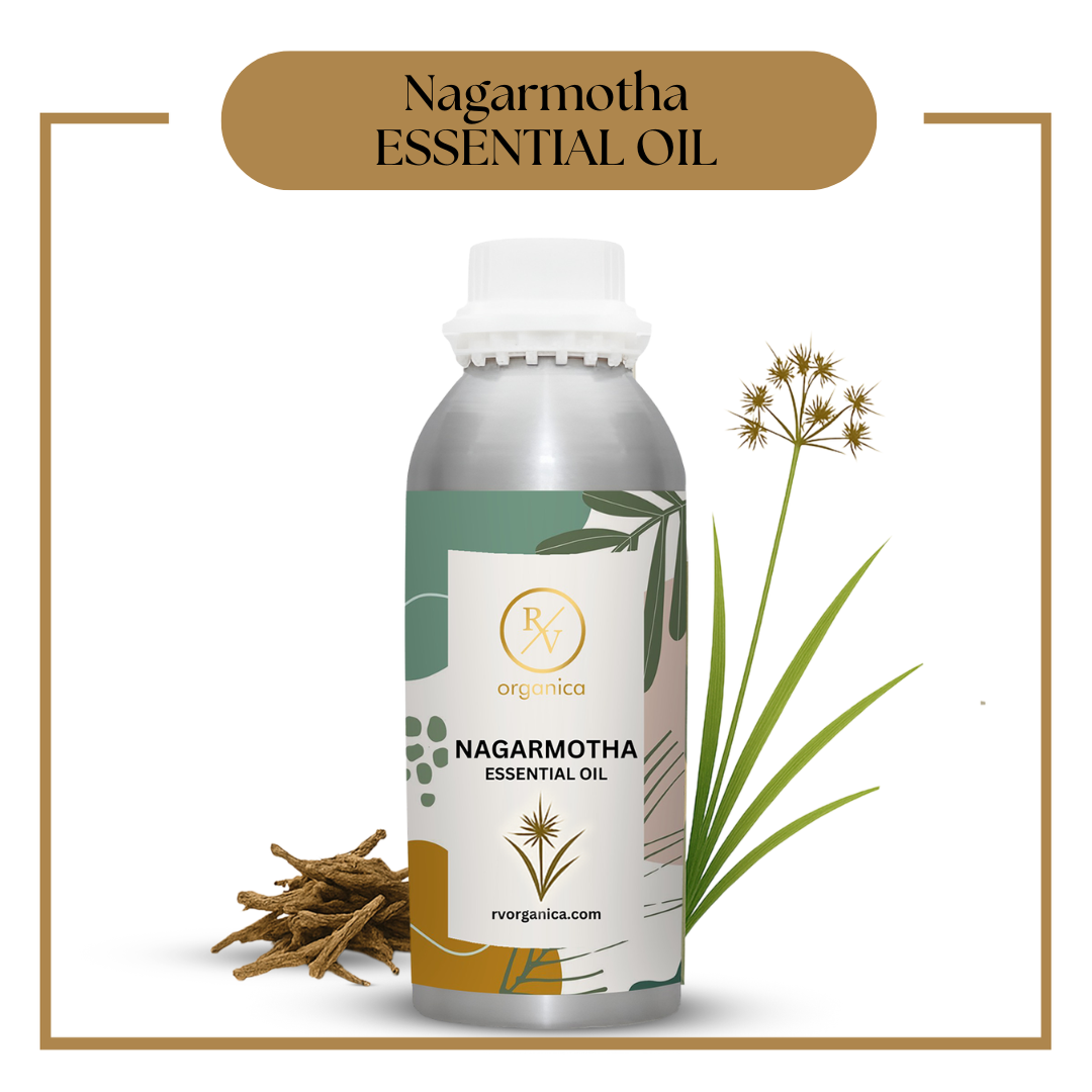 Pure Nagar Motha Essential Oil for aromatherapy and skincare –RV Organica