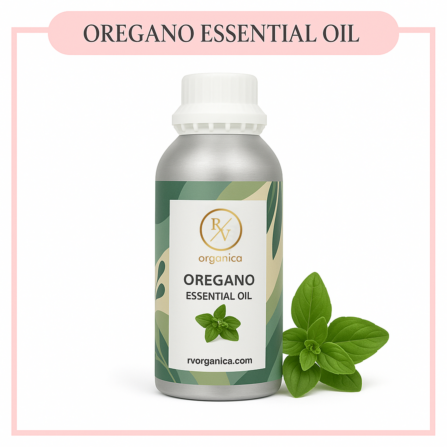 Pure Oregano Essential Oil for aromatherapy and skincare –RV Organica