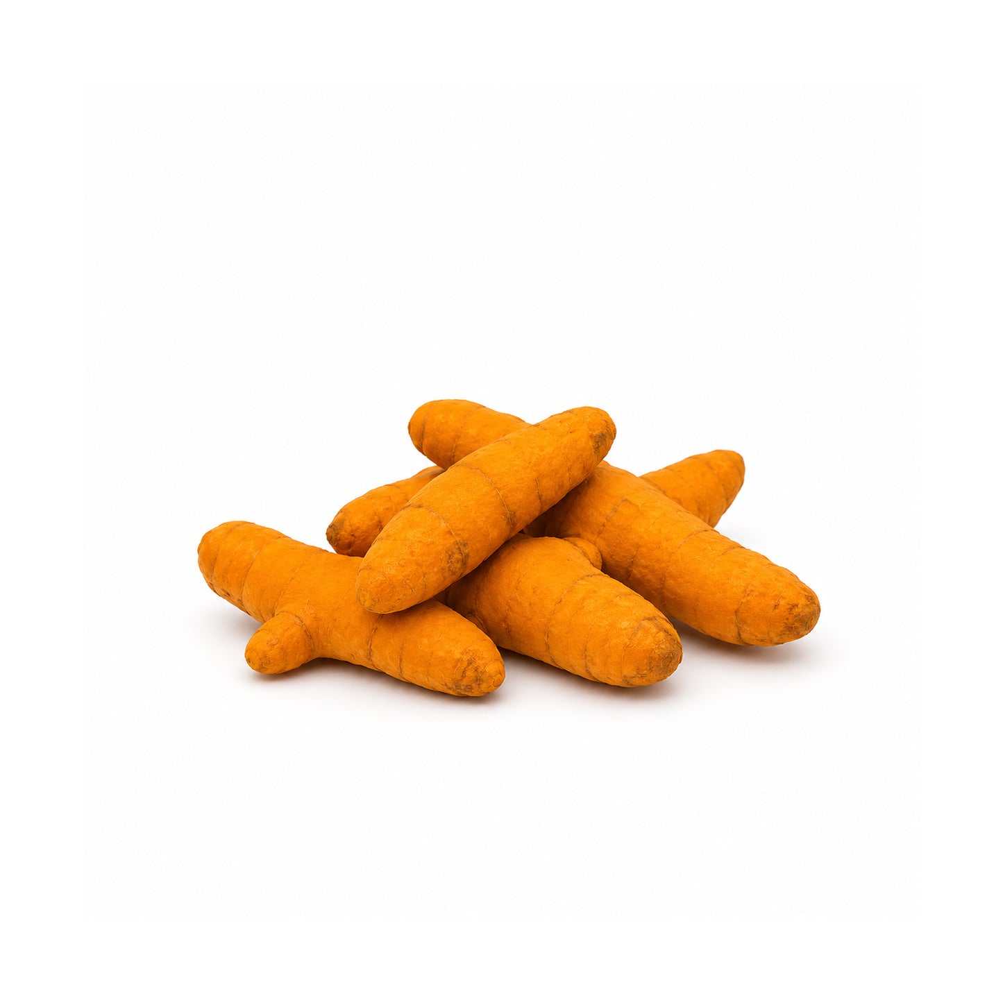 Fresh organic turmeric roots and powder isolated on white background