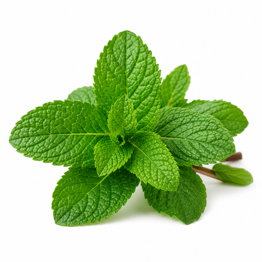PepperMint Essential Oil - second image