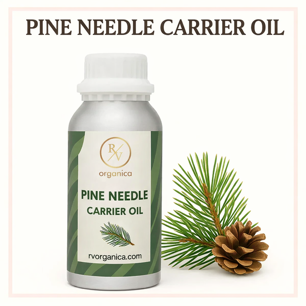 Pure pine needle carrier oil for skin and hair cosmetic use
