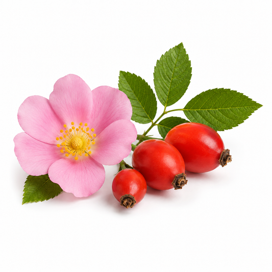 Rosehip Fragrance Oil with a fresh fruity and floral aroma, inspired by natural rosehip notes for a vibrant, elegant, and long-lasting scent ideal for candles, soaps, perfumes, and personal care products. - second image