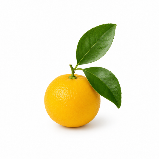 "RV Organica Yellow Mandarin Essential Oil bottle displayed on a clean background, highlighting pure and natural citrus essential oil ideal for aromatherapy, mood enhancement, skincare, and diffuser use." - second image