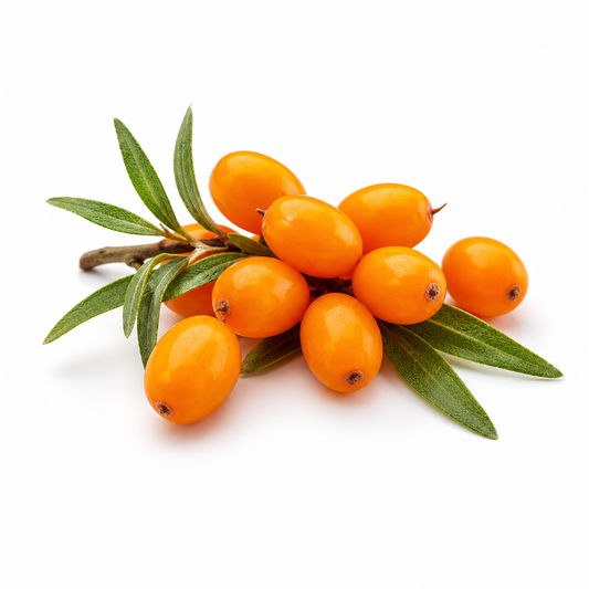 Sea Buckthorn Carrier Oil - second image