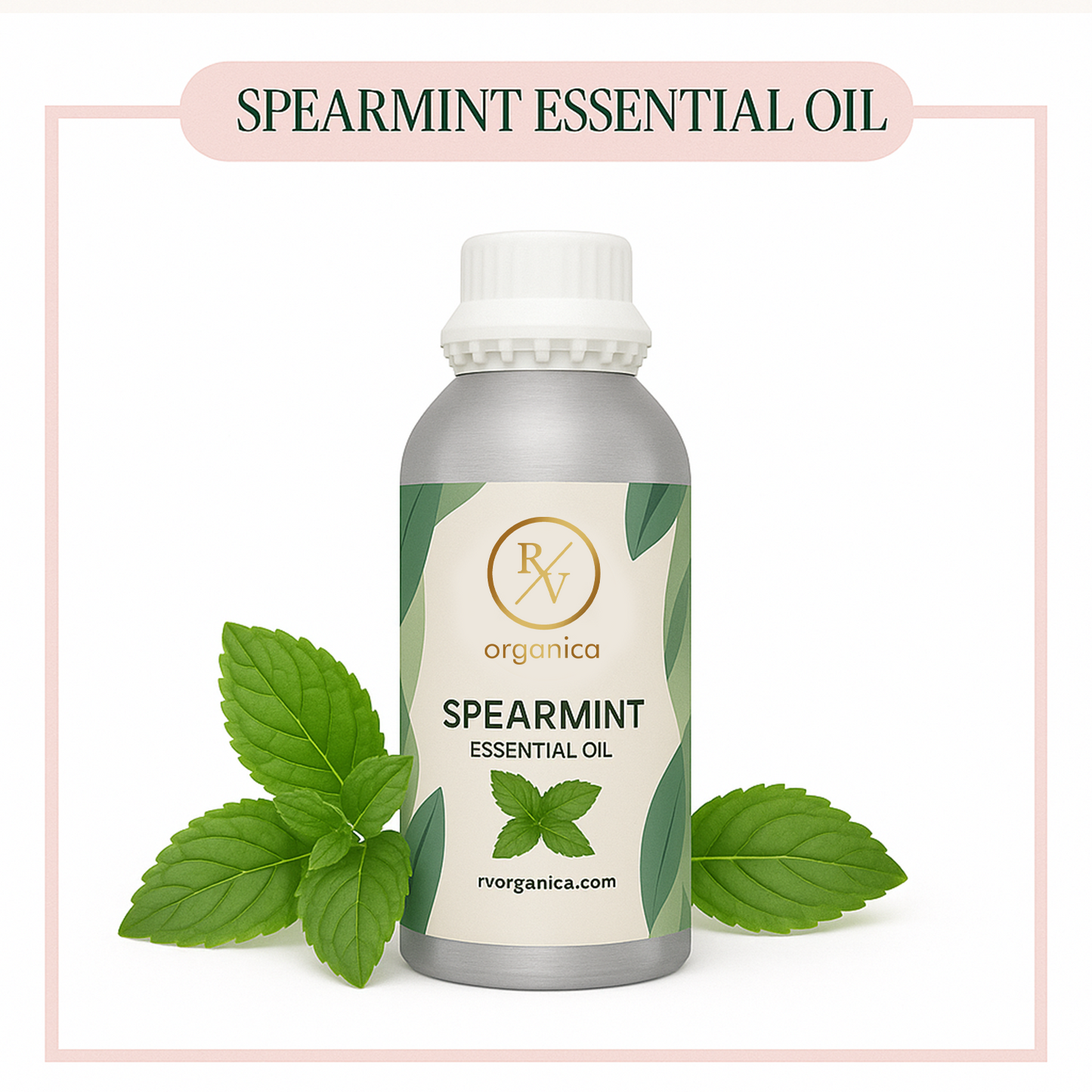 Pure Spearmint Essential Oil for aromatherapy and skincare –RV Organica