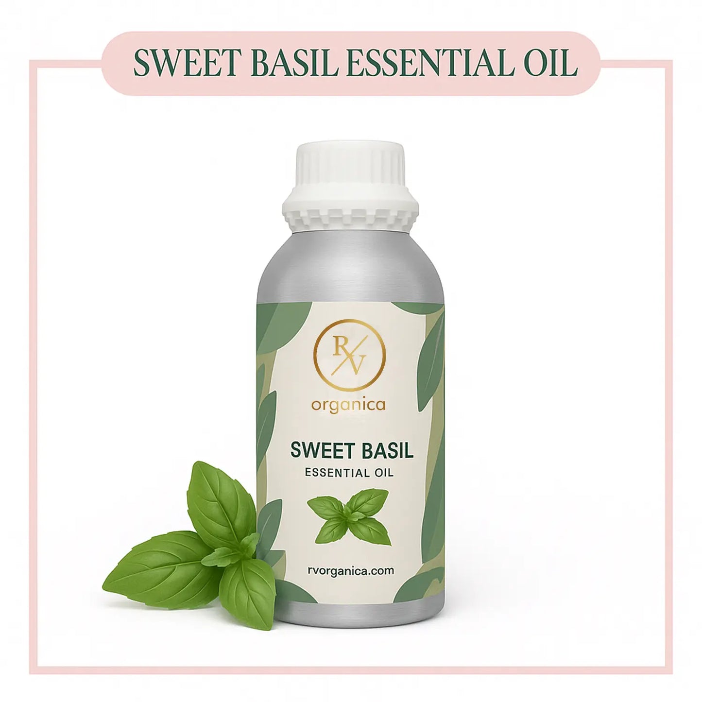 Pure Sweet Basil Essential Oil for aromatherapy and skincare –RV Organica
