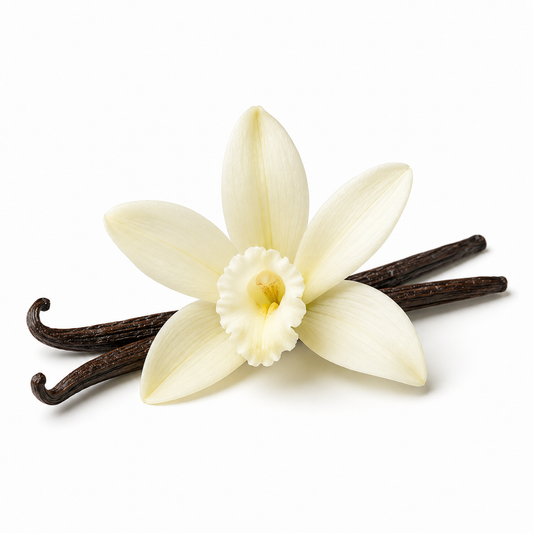 Vanilla Fragrance Oil - second image