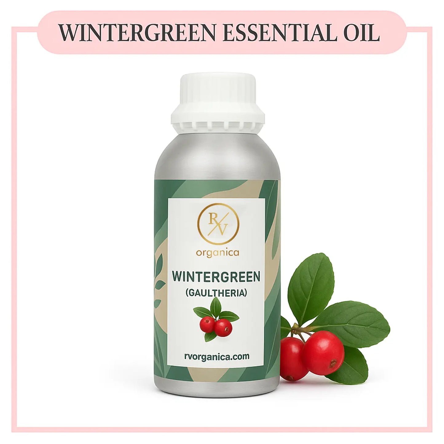 Pure Wintergreen Gaultheria Essential Oil for aromatherapy and skincare – RV Organica