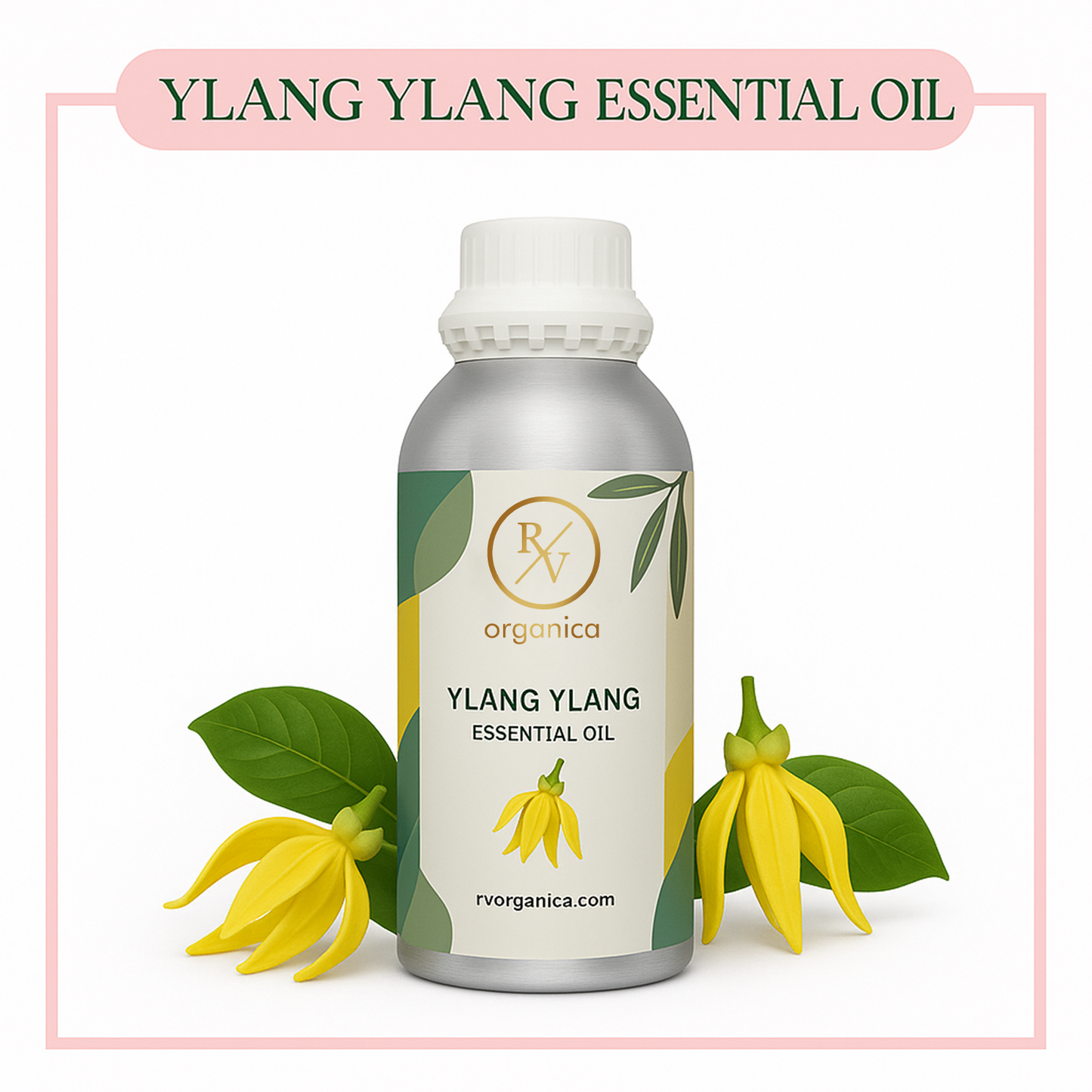 Pure Ylang Ylang Essential Oil for aromatherapy and skincare RV Organica