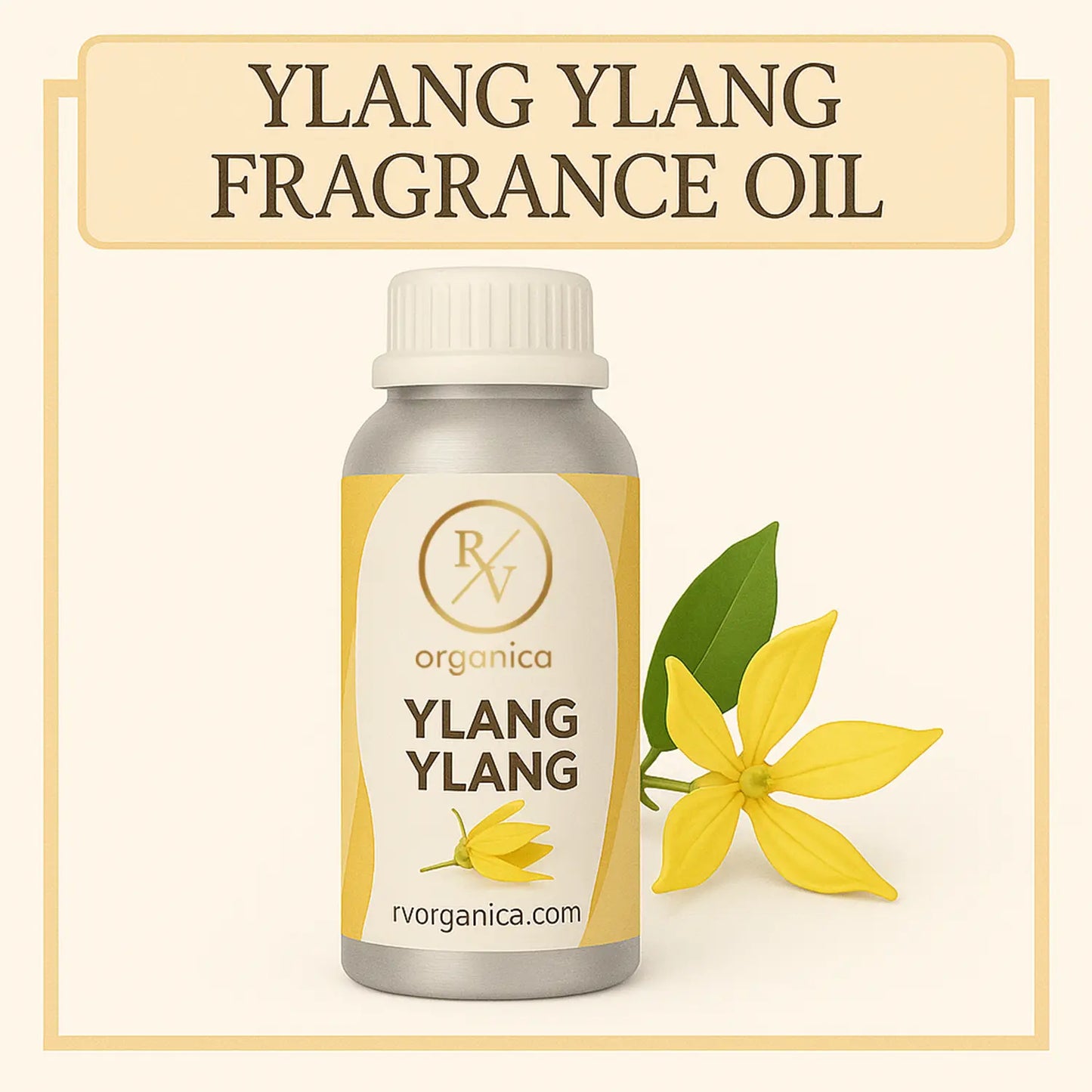 Pure Ylang Ylang Fragrance Oil – RV Organica