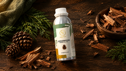 RV Organica silver aluminium cedarwood essential oil bottle lying on a dark wood surface with cedar wood chips, a bowl of wood pieces, cones and cedar branches in moody warm light