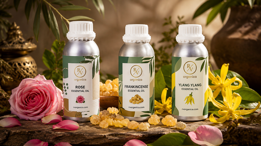 Rose, Frankincense, and Ylang Ylang essential oil bottles by RV Organica displayed with fresh roses, frankincense resin, and ylang ylang flowers on a rustic stone surface in warm luxury botanical product photography.