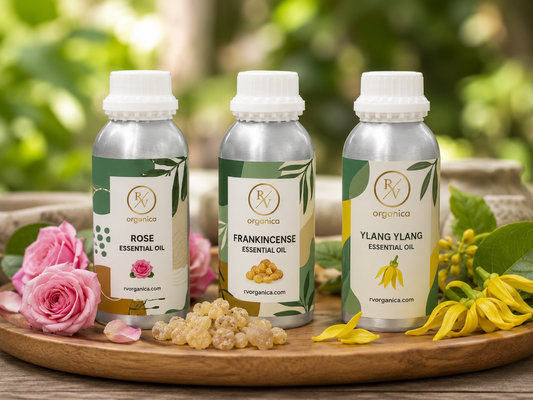 Premium RV Organica Rose, Frankincense, and Ylang Ylang essential oil bottles displayed on a wooden tray with fresh roses, frankincense resin, and ylang ylang flowers in a natural wellness setting.