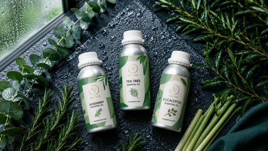 RV Organica Rosemary, Tea Tree and Eucalyptus essential oils on wet dark surface with rain on window best essential oils for monsoon season India