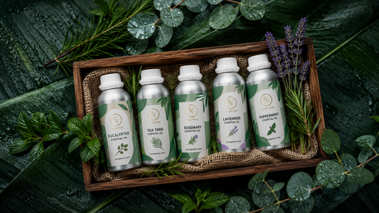 RV Organica monsoon essential oils kit — Eucalyptus, Tea Tree, Rosemary, Lavender and Peppermint essential oil bottles in wooden tray with fresh herbs and rain-wet leaves