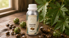 RV Organica cold pressed castor carrier oil with castor seeds and ricinus  plant leaves on wooden surface - natural scalp oil for hair growth