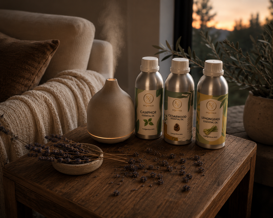 RV Organica essential oils for diffuser – Camphor, Cedarwood and Lemongrass essential oil bottles with ultrasonic aroma diffuser on wooden table
